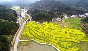 通山打拱手机版通山打滚官方下载电脑版